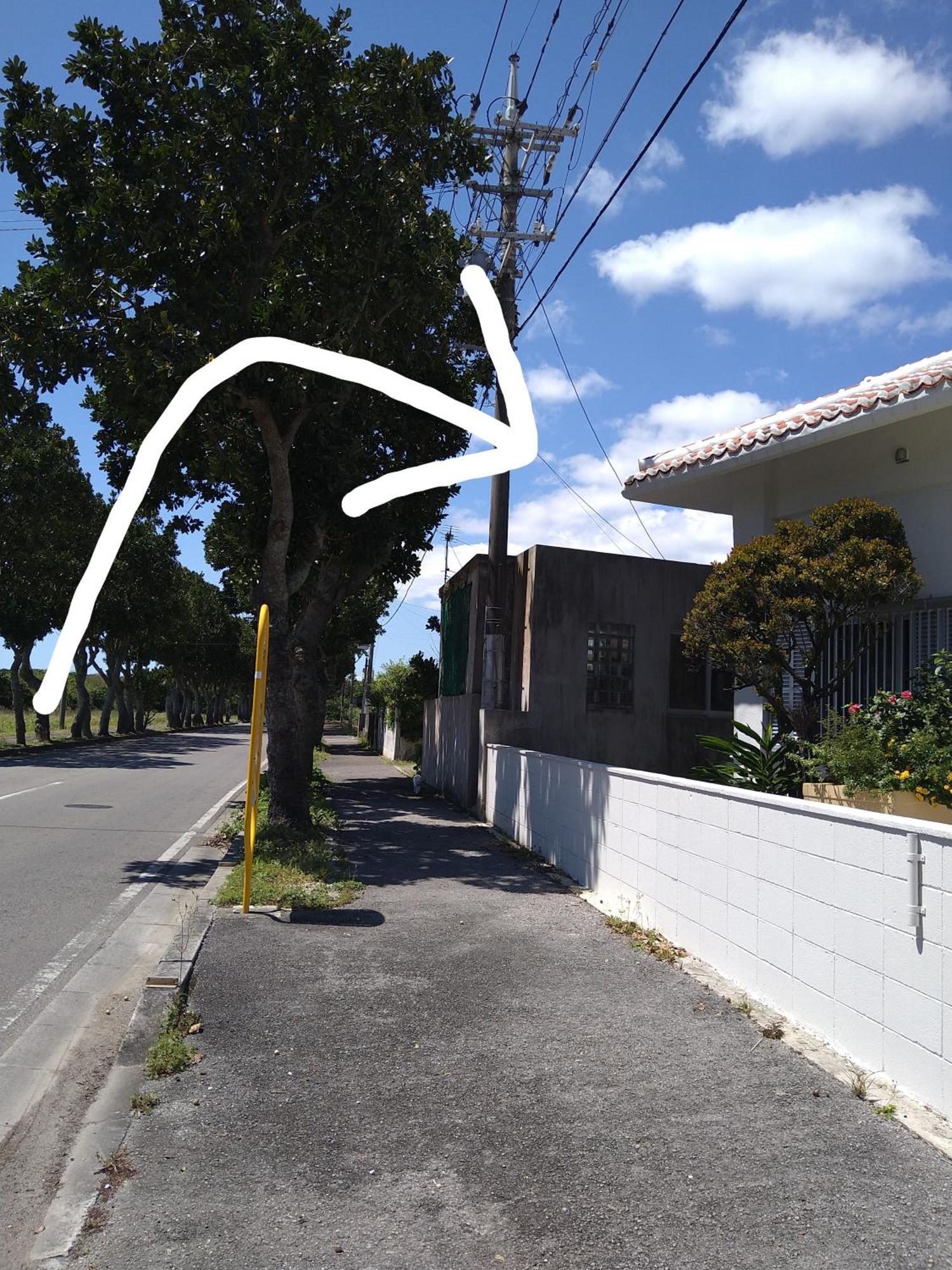 Hostel Minshuku Zabaru Ishigaki  Exteriér fotografie