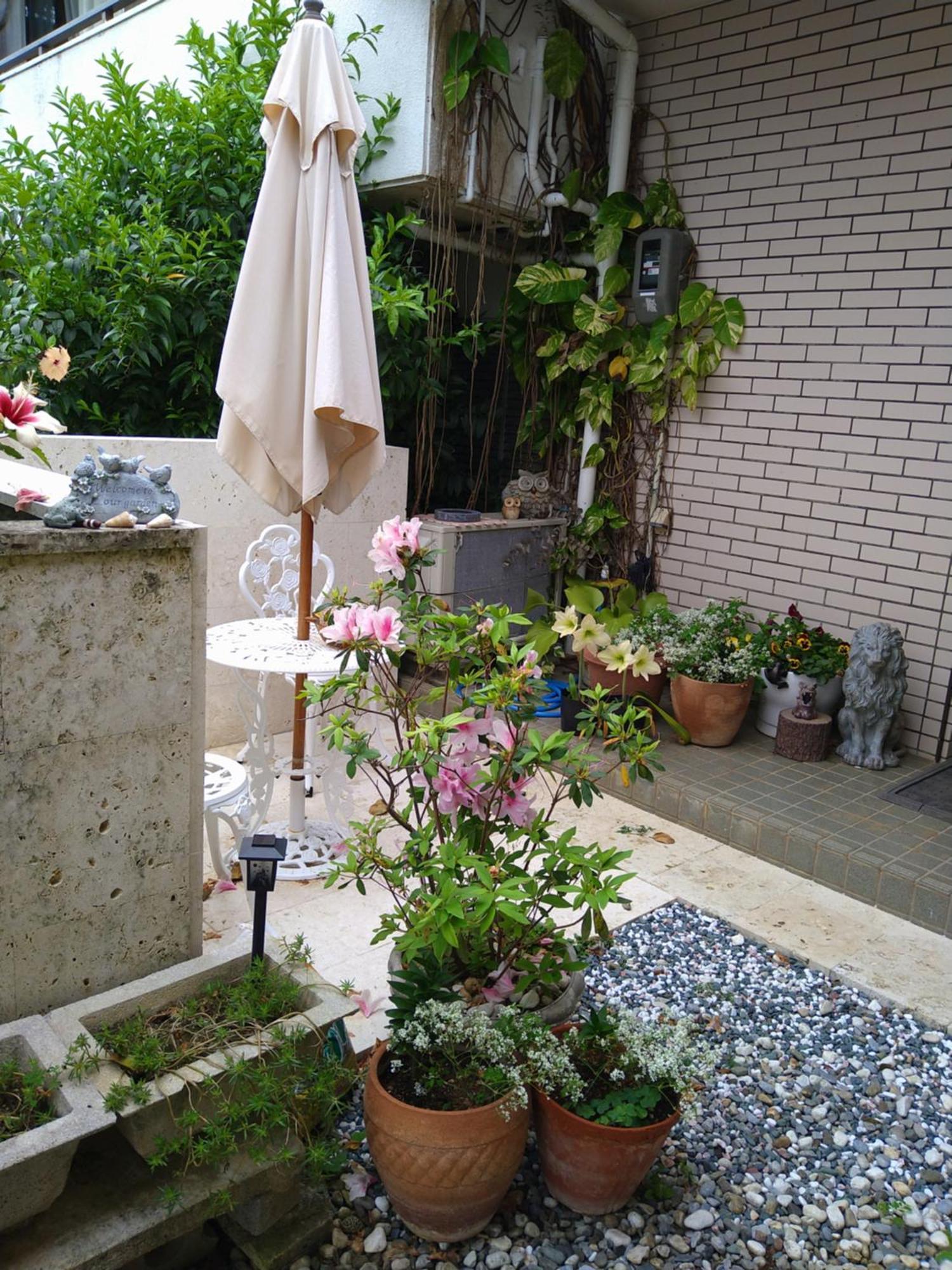 Hostel Minshuku Zabaru Ishigaki  Exteriér fotografie