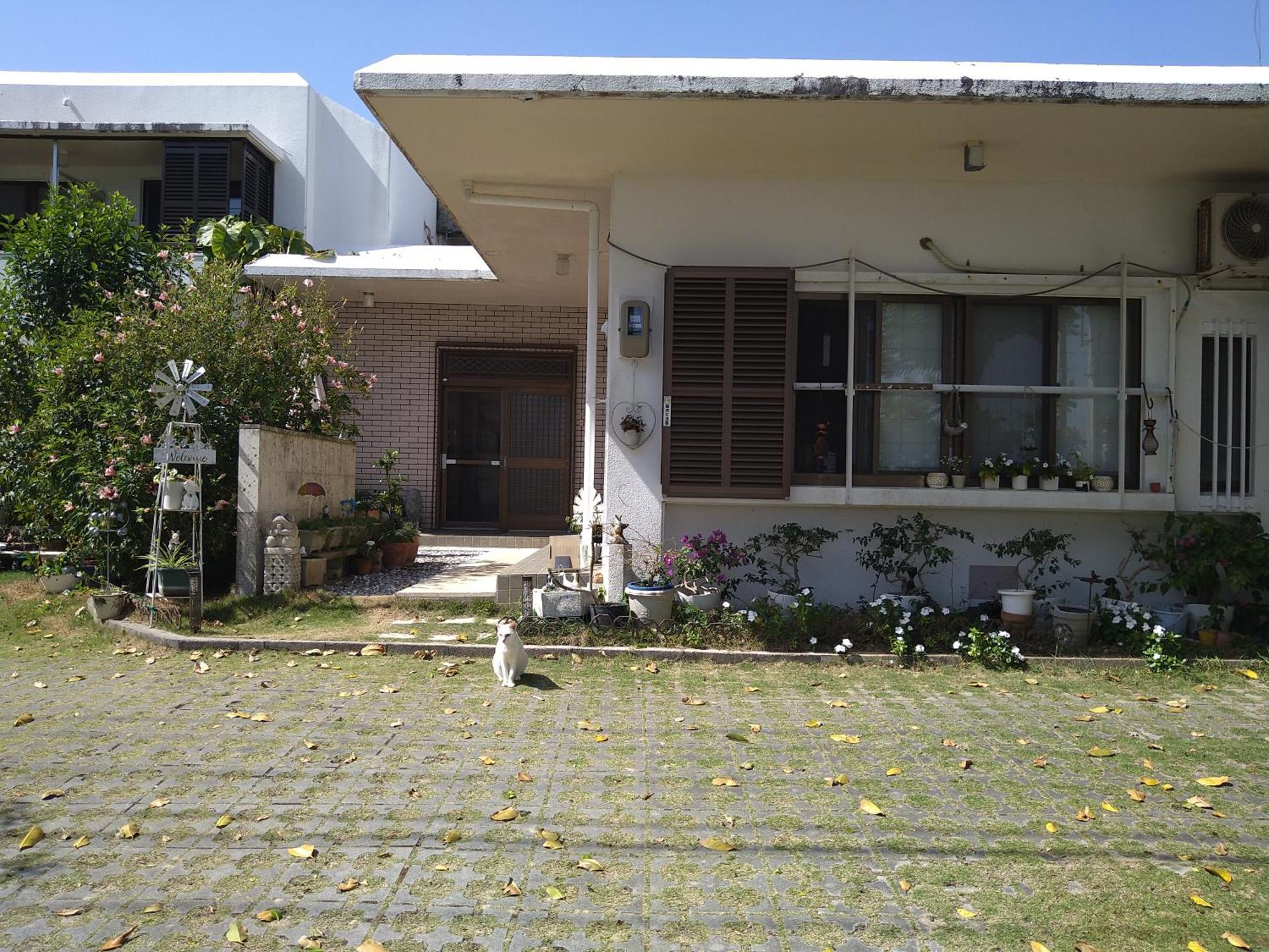 Hostel Minshuku Zabaru Ishigaki  Exteriér fotografie